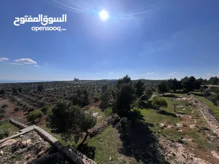  14 فرصة العمر مزرعة زيتون راقية  طريق اربد عمان كافه الخدمات 17 دونم و نص منتجه