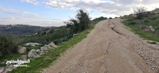  20 دونم ارض طابوا فلسطيني منطقة (B)بالقرب من دوار كفرصور جميع الخدمات فيها عليها شارع 12متر موقع مميز