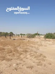  6 مزرعة للبيع بموقع مميز قريب للخدمات والسعر مناسب
