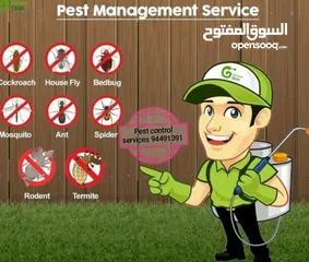  1 We provide you the best pest control service's & We have professional deep cleaning also