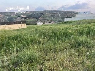  5 ارض للبيع تصلح للبناء و الاستثمار في حوض ابو الغزلان ناعور
