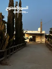  1 مزرعه للبيع مساحتها دلم