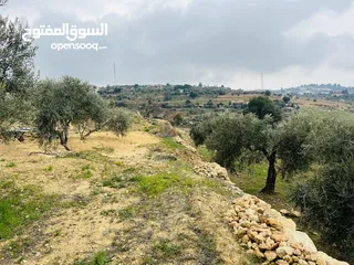  7 3500 م زي إطلالة خلابه