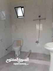  22 مزرعة وشاليه الباشا