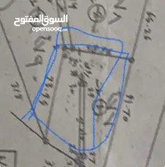 1 أرض زراعية للبيع من المالك
