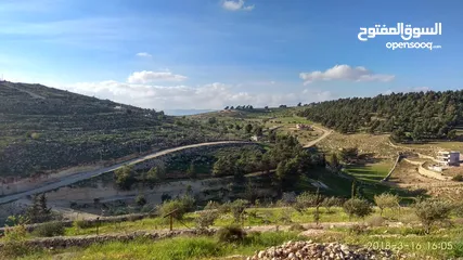  7 مزرعة في جرش للبيع من المالك مباشرة