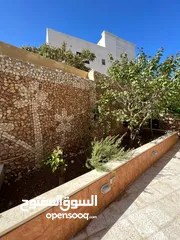  20 شقه في حي ابو الراغب 203 م مع حديقه مساحة 180 م تقريبا