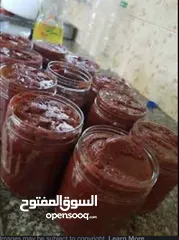  1 رب البندورة