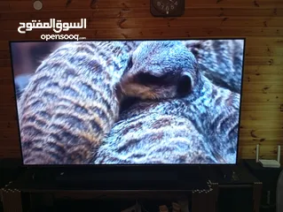  12 شاشه مجيك 75انش سمارات 4كيه اوامر فل الفل شراء شهر 1 فل سمارت صوت ميوزك ورياضي وتوفير كهرباء