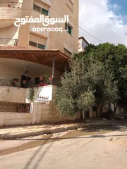  1 شقه طابق ارضي مدخل مستقل ليست تسويه للبيع الحي الشرقي