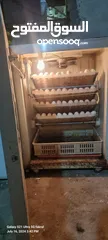  3 Egg hatching machine  فقاسة/فقاصة بيض /Loader شيول صغير / واتساب رجاء/ WhatsApp please