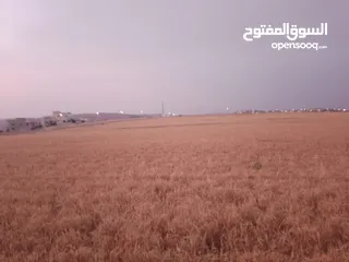  20 مادبا ماعين المشرفة قطعة ارض زراعية مميزة واصل الخدمات ذات اطلالة على البحر الميت واصل الخدمات