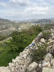  28 بيت ريفي مع مزرعة