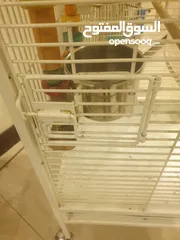  9 parrot cage