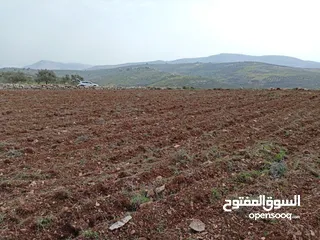  3 ارض تصنيف A للبيع مناسبه للأستثمار والسكن