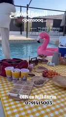  22 اوليفز هل فارم olives hill farm مزرعة فخمة للايجار