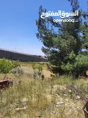  1 للبيع دنم في السلط شارع الستين بعد ابو حديثه