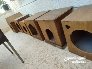  1 بيوت قطط عدد خمسه مع ليتر بوكس كبير عدد 2 لم يستخدم ابدا فقط عليهم غبره للبيع او بدل على عصافير
