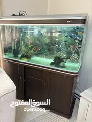  6 JEBO Fish tank big size urgent sale