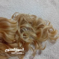  3 شعر باروكه نخب اول من امريكا بالليبل