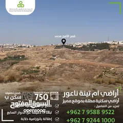  1 أرض سكنية في ناعور _ام تينة مقابل قصر الأمير محمد