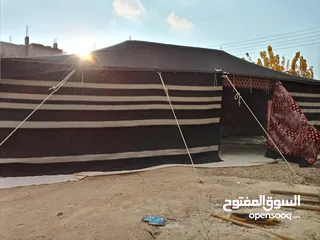 7 خيم شعر تراثيه  حجم 8م×4م يوجد أحجام أخرى حسب الطلب  الخيم جديده ولا يوجد  مستعمله