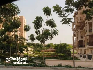  11 اس فيلا S Villa كورنر فيو بحري 5 غرف كمبوند سراي القاهرة الجديدة بجوار مدينتي بمقدم 1,645,000
