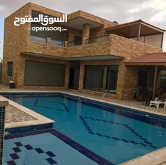  9 شاليه لمار البحر الميت - الجوفة  للايجار اليومي