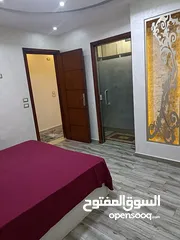  2 شقه مفروشه غرفتين للايجار المفروش في مدينة نصر
