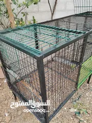  4 قفص حديد كبير للطيور او الارانب او الحيوانات الصغيرة