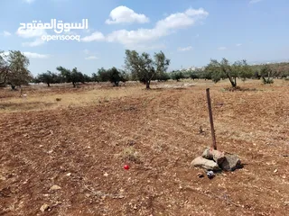  3 قطعة أرض بكوشان مستقل
