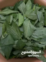  5 ملوخيه ورق وملوخيه ناشفه مفروكه وناعمه بدون عيدان مغسله ومنقبه وجاهزه لطبخ
