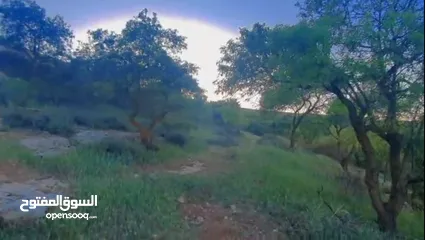  7 قطعه ارض للبيع من المالك مباشره ذات اطلاله بانوراما خلابه مفروزه
