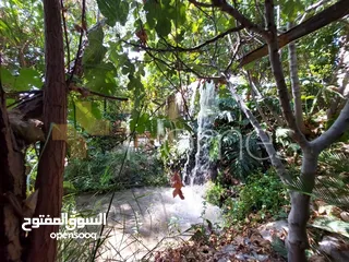  19 منتزه و مطعم مرخص للبيع عمان - البحاث مرج الحمام على مساحة ارض 4000م