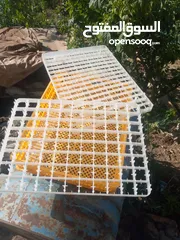  3 فقاسة بيض دجاج و فري