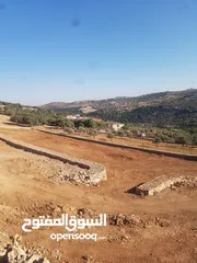  11 مزرعه مميزه في عجلون قرب اشارة ارحابا