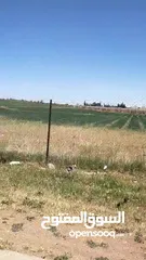  2 ارض للبيع في الخضراء البريزا 59 دونم