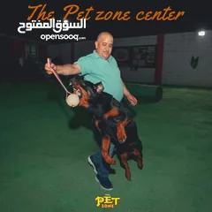  18 درّب كلبك الآن ...اكبر مركز لتدريب الكلاب