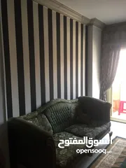  15 شقه مفروشه فرش جديد بمدينة نصر للمدد الطويله