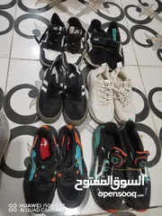  5 شرررروة أوروبي ولادي بناتي رياضه نخب بسعر البلاااااش
