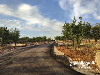  10 أرض سكنية  للبيع في ناعور "أبو الغزلان  " من المالك دون وساطة