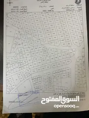  4 ارض للبيع الزرقاء