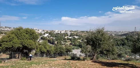  2 أرض مميزة للبيع في بدر الجديدة حوض الميسر من المالك مباشرة