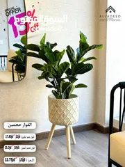  24 شجر صناعي فاخر.