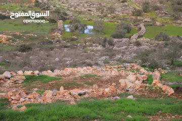 4 800متر طابوا فلسطيني في اجمل موقع بالكفريات واطلالة مميزةمنطقة( b)صالحة للبناء