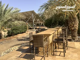  16 مزرعة في البحر الميت/ الشونه الجنوبية / السويمه / حوض جلد مميزة للبيع للجادين فقط