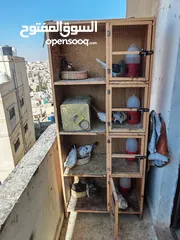  2 اربع جواز حمام للبيع مع القن