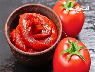  3 معجون الطماطم “””””””””””””” Tomato paste ««««««««««««« رب گوجه فرنگی