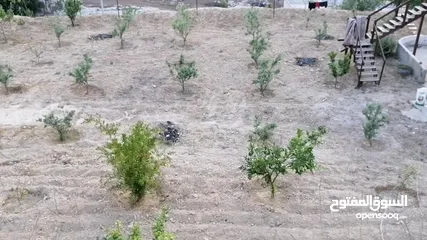  29 مزرعة في اربد كفر اسد للبيع