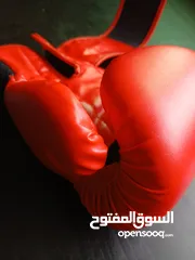  10 كفوف EVERLAST الأصلية استعمال خفيف جدا جدا بحالة الوكالة للبوكسينغ و الكثيير من الرياضات ...........